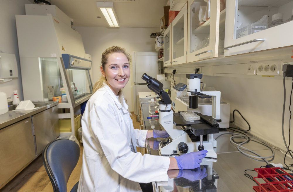 Scientia Fellow Anna Frank studying liver immunology 