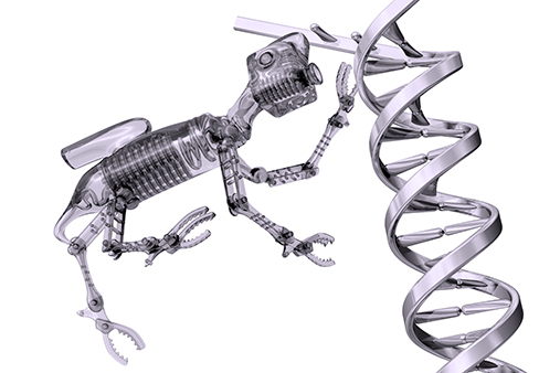 Illustrasjon av robot-insekt ved siden av en DNA-tråd i metall