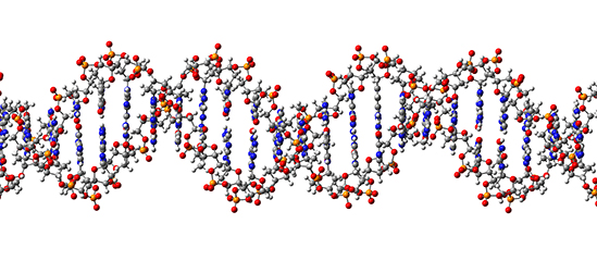 Modell av DNA-heliks