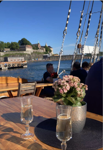 Working dinner and get to know the Oslo Fjord.
Gravitate-Health interactive workshop in Oslo June 29 - 30, 2022.