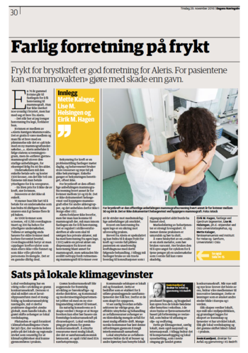 Screenshot of newspaper Dagens Næringsliv
