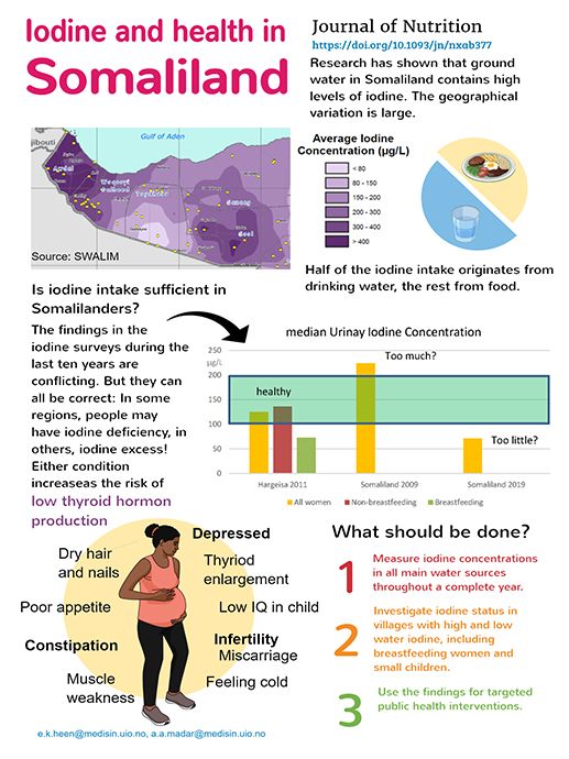 Infographic: Developed by the research project to illustrate their main findings.