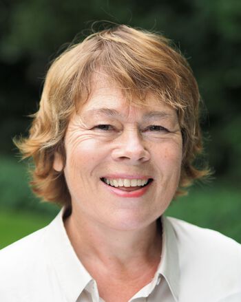 panne ,nese ,smil ,leppe ,hake.