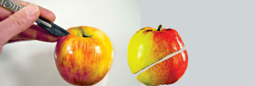 Bilde av to epler og en skalpell