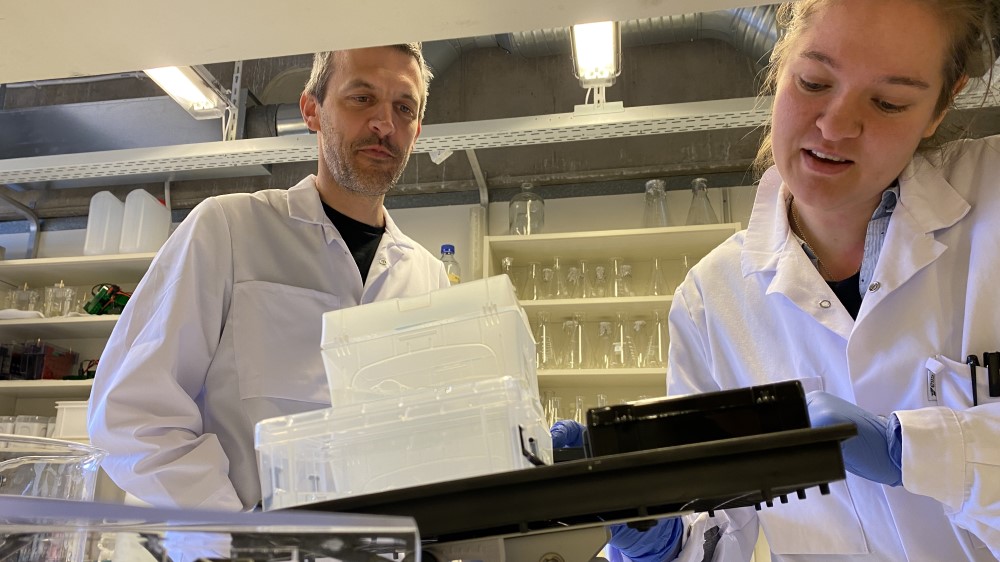 Picture shows a man and a woman in a lab coat working on boxes