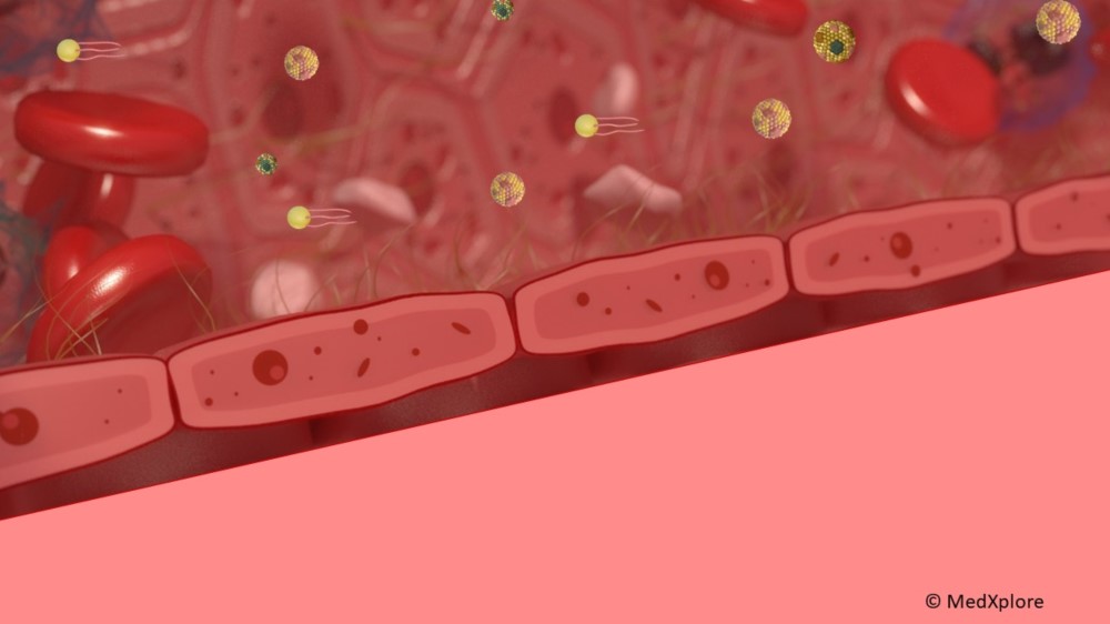 Illustrasjonsbilde av fettceller i leveren. 