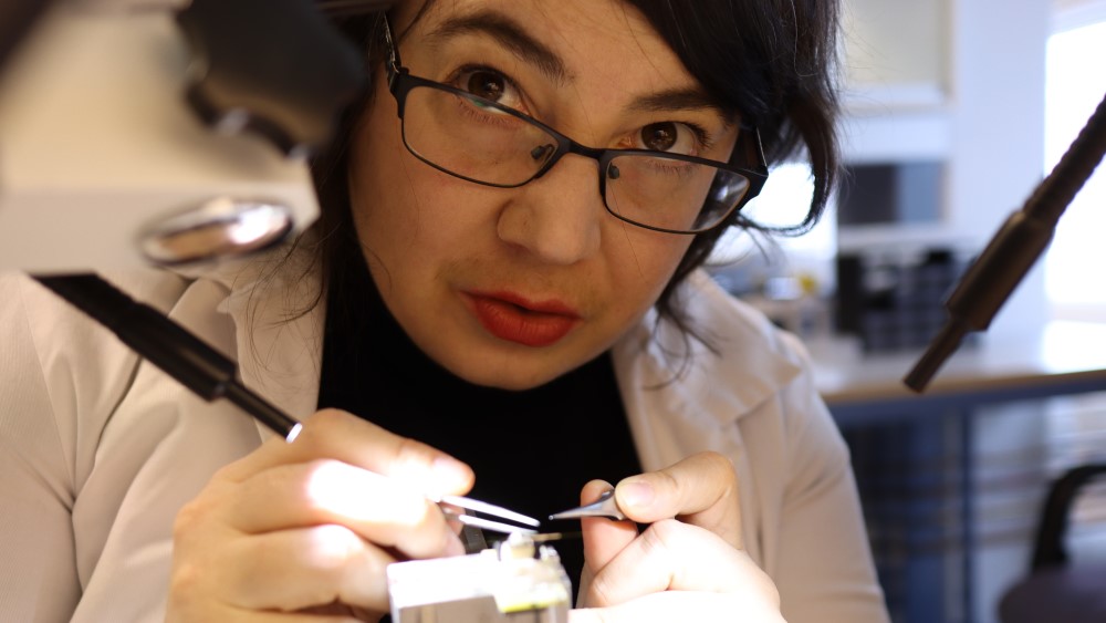 Bildet viser en kvinne med briller som holder på med en pinsett og verktøy på et lite apparat som er skrudd fast