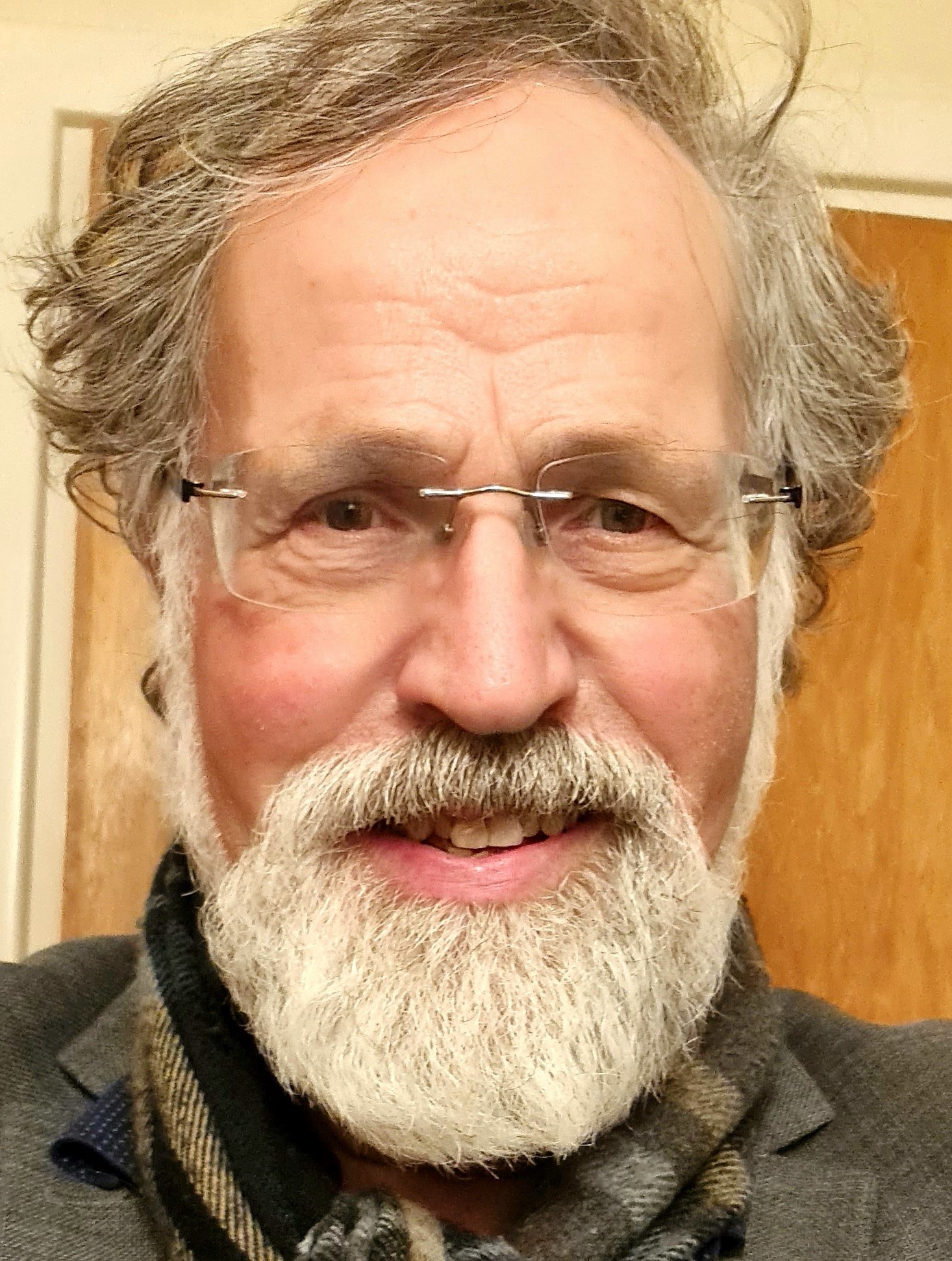 Professor Johan Frederik Storm, elderly man with a beard.