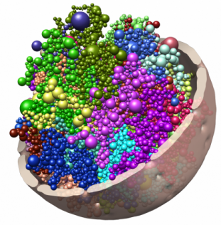 Snitt av cellekjerne med kromatinet organisert i topologisk assosierte domener, og med hvert kromosom i en egen farge.