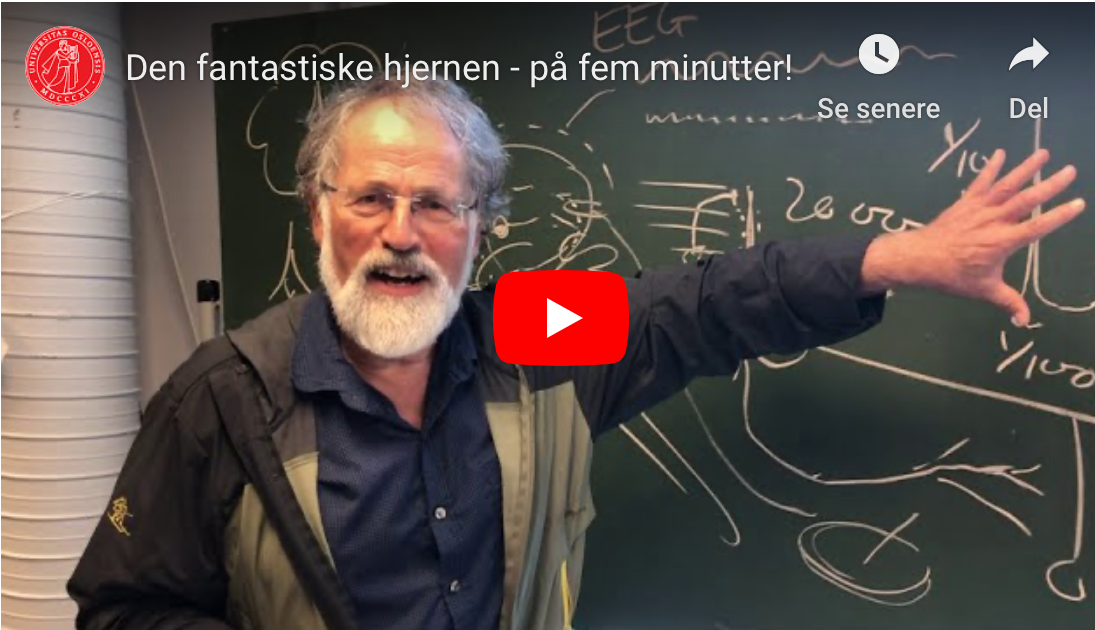 Bildet kan inneholde: bildetekst, skrift.