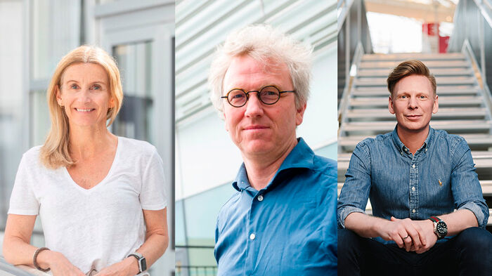Image of the three researchers. Separate images placed together.