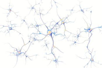 Illustration of nerve cells. 