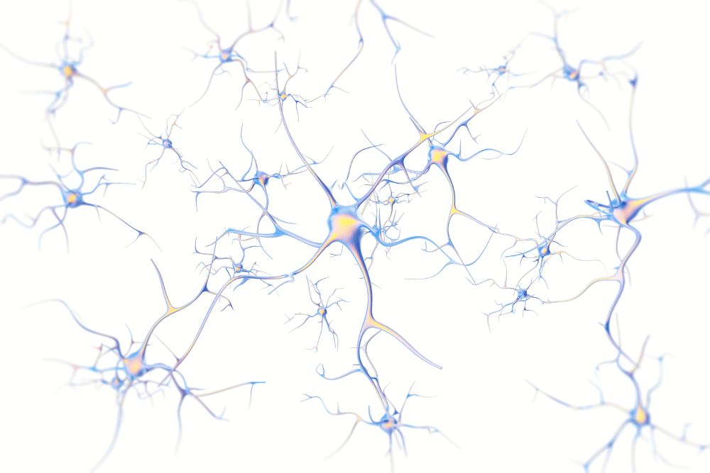 Illustration of nerve cells. 