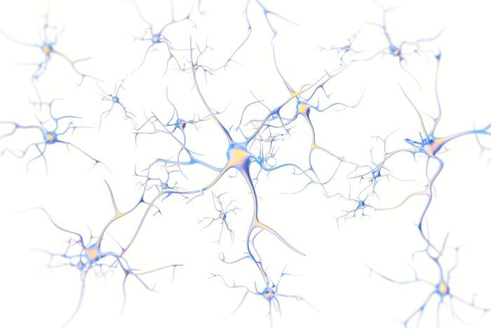 Illustrasjonsbilde av nerveceller. 