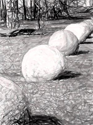 Bildet kan inneholde: tre, svart og hvit, stil, kunst, monokrom fotografering.