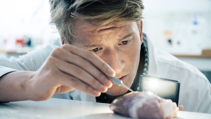 Bilde av en forsker som arbeider i laboratoriet