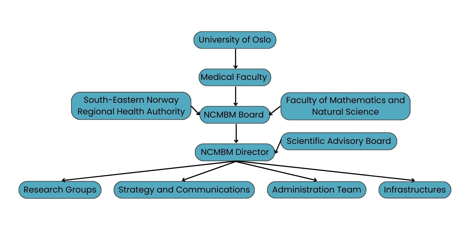 Chart presenting NCMBM in its local environment.