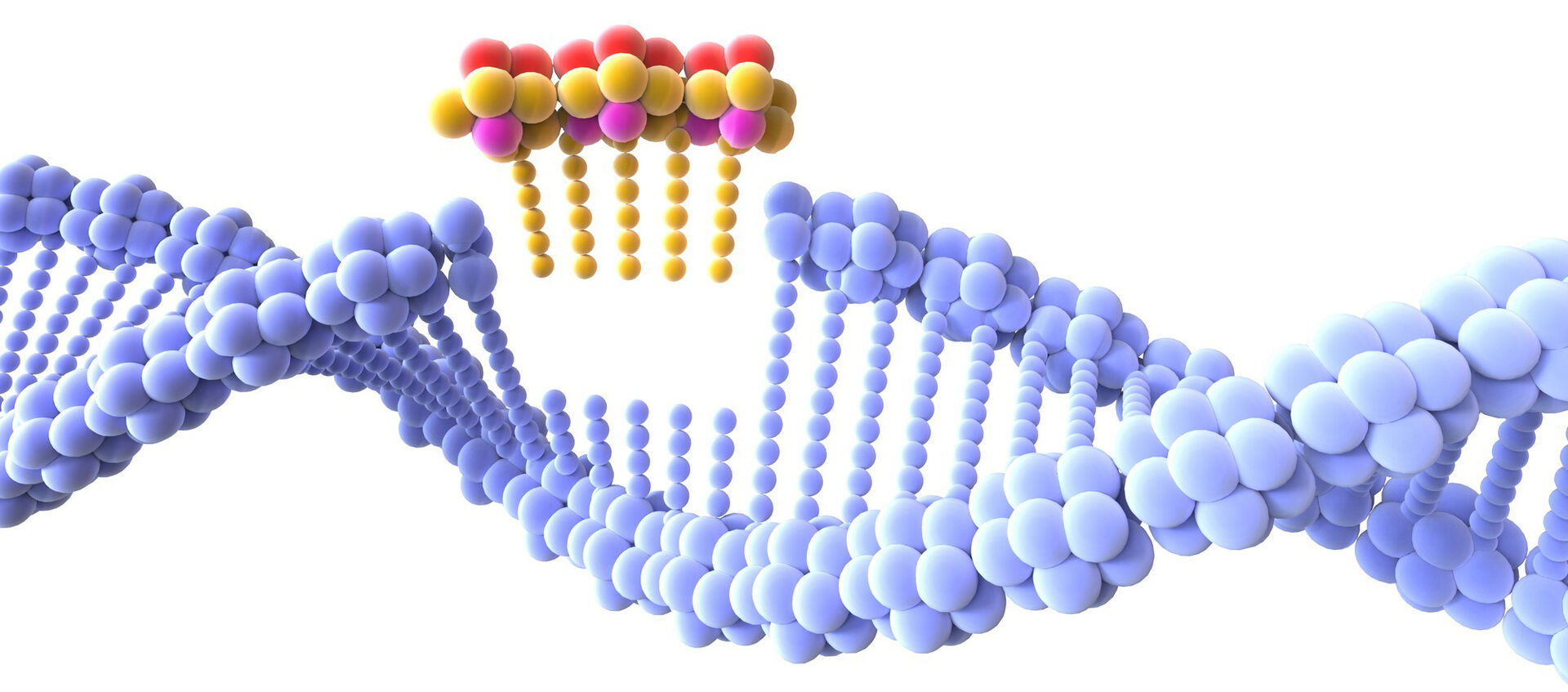 DNA strand with section cut out