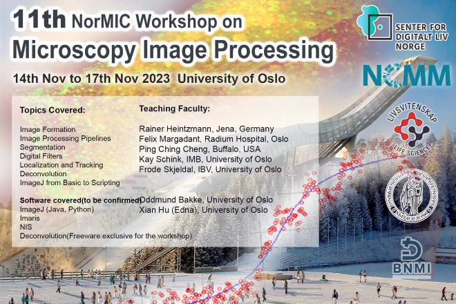Poster of the workshop.