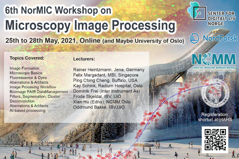 Picture of microscopy workshop poster