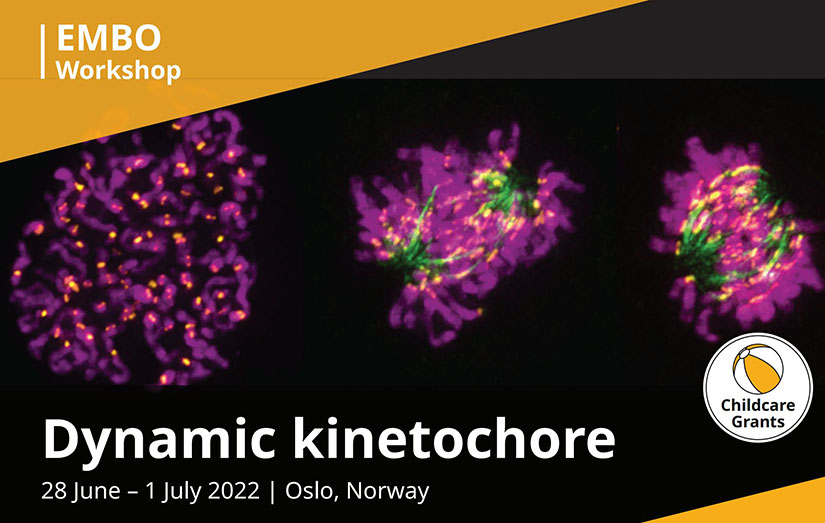 Flyer for Dynamic Kinetochore workshop. Flyer reads: EMBO workshop, dynamic kinetochore, 28th June to 1st July 2022, Oslo, Norway