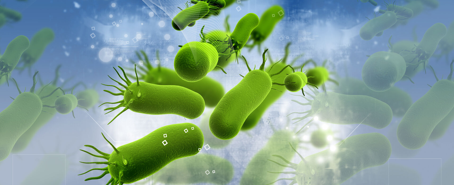 Image of green bacteria