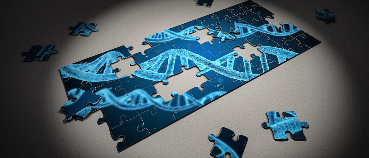 puzzle with DNA