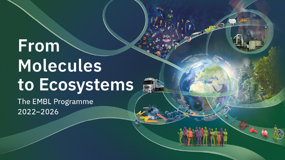 Text from infographic: From Molecules to Ecosystems, The EMBL Programme 2022-2026