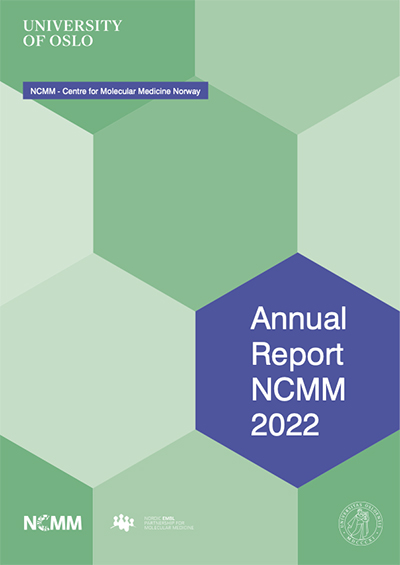 The front cover of the NCMM annual report, green hexagons