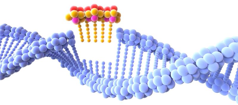 DNA strand with cut out section