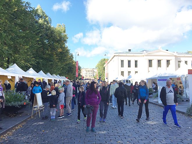 Mye folk og god stemning på Forskningtorget 2018. Foto: Julie Nybakk Kvaal