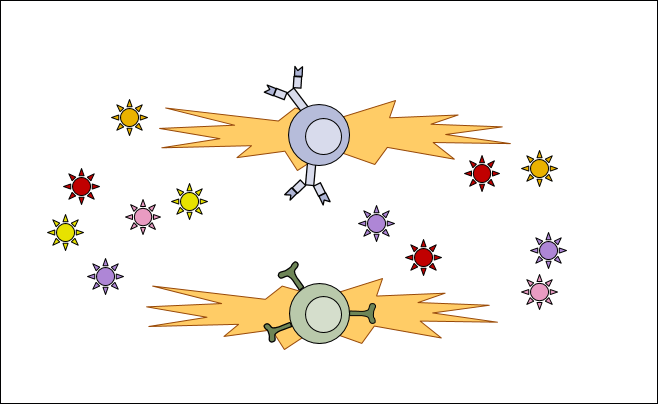 Illustrasjon av B-celle og T-celle