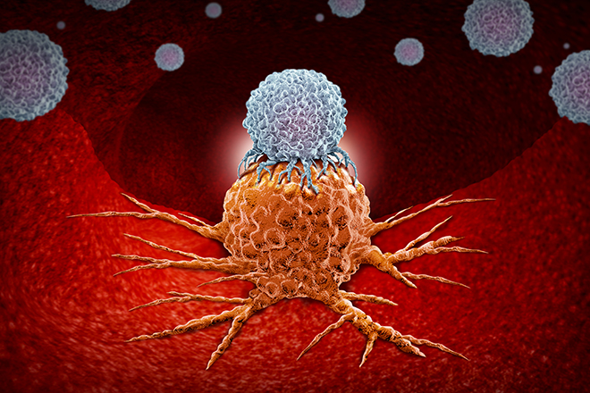 Tegnet scene fra en blodåre. Hvit blodcelle sitter oppå en kreftcelle som klorer seg fast til åreveggen.