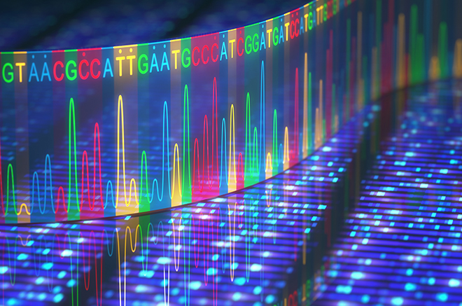Histogrammer fra DNA sekvensering. Hver DNA-base har hver sin farge.