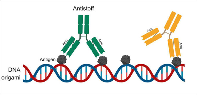 Illustarsjon: DNA-molekyl med to trearmete figurer oppå