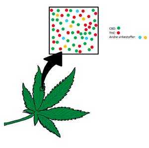 cannabisblad pluss forskjellige virkestoffer som fargede prikker. Flest grønne (CBD) og røde (THC).