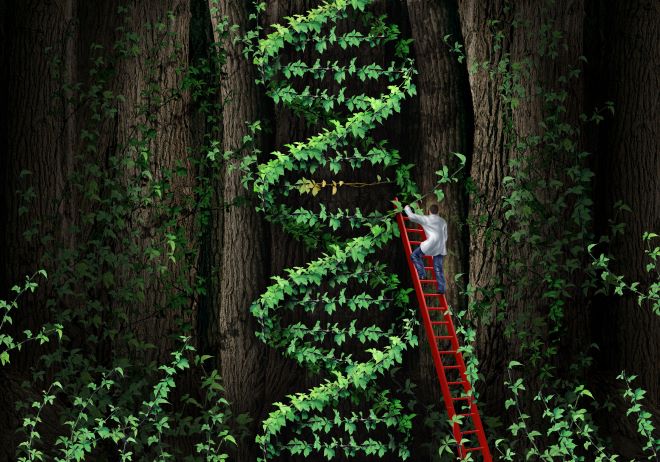 Mann i stige som kutter i en klatreplante formet som et DNA molekyl.