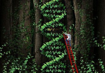 Mann i stige som kutter i en klatreplante formet som et DNA molekyl.