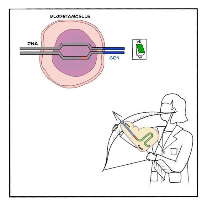 Tegnet bilde av forsker som skyter pil og bue på en celle. Pila har med seg det som skal inn i cellen.