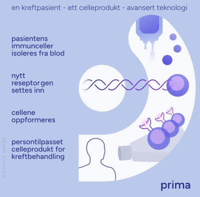 Tegnet illustrasjon av de fire trinnene beskrevet i figurteksten