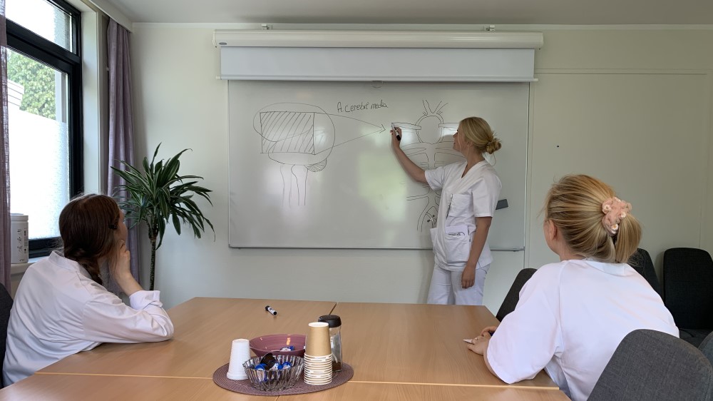 Bildet viser en kvinne i hvit uniform som tegner på en tavle mens to andre følger med