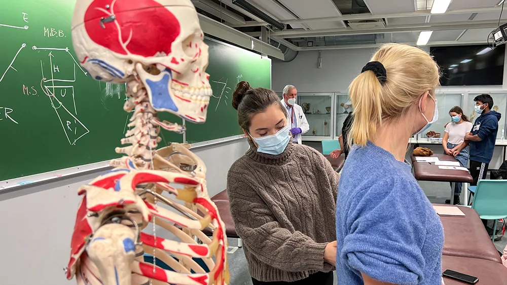 Medisinstudenter som undersøker hverandre i et klasserom, ved siden av et skjelett med illustrasjoner av kroppens nervesystem