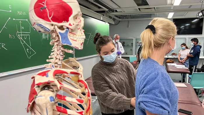 Medisinstudenter som unders?ker hverandre i et klasserom, ved siden av et skjelett med illustrasjoner av kroppens nervesystem
